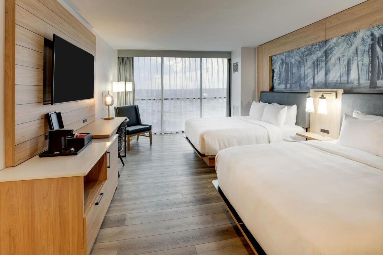 King or Double Room,1705748797:JPEG